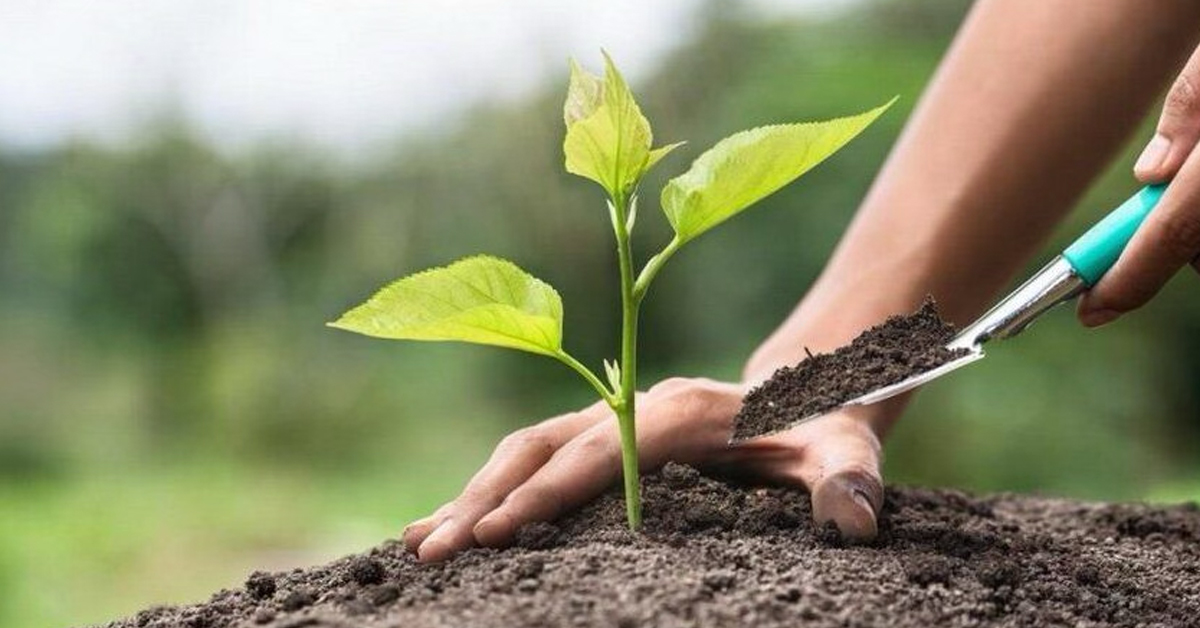 Hayır Eseri Bırakmak