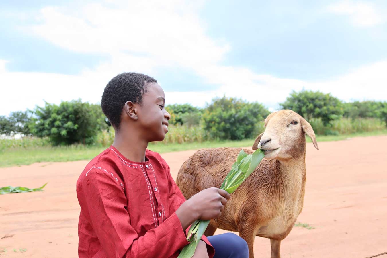 Kurban Bağışı Nasıl Yapılır?