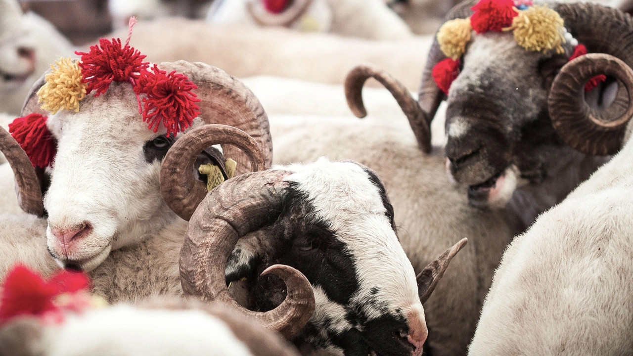 Kurban Bayramı'nda Yapılacak İbadetler ve Sünnetler